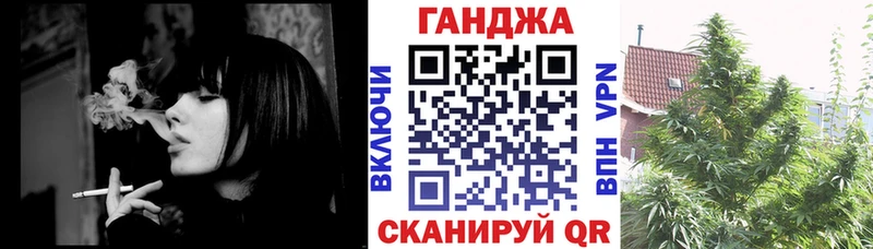 Купить  Вихоревка  Каннабис сатива 
